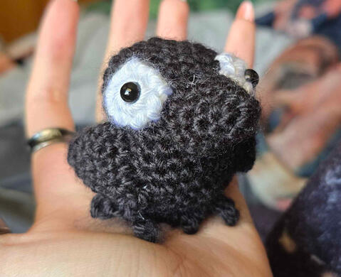 Crow $10