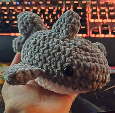 Shark $16