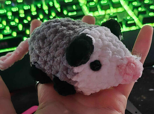 Opossum $10