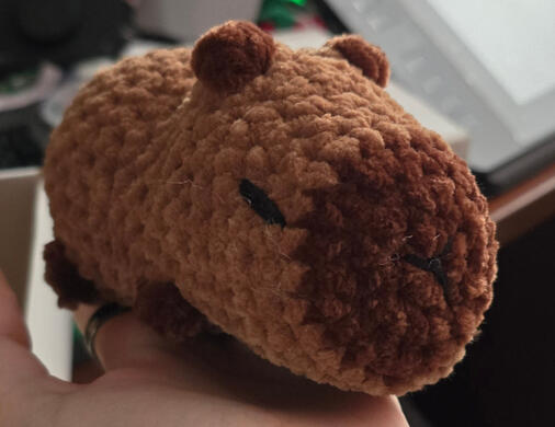 Capybara $13